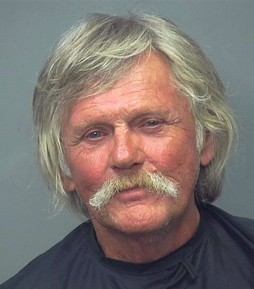 Mug shots 2017